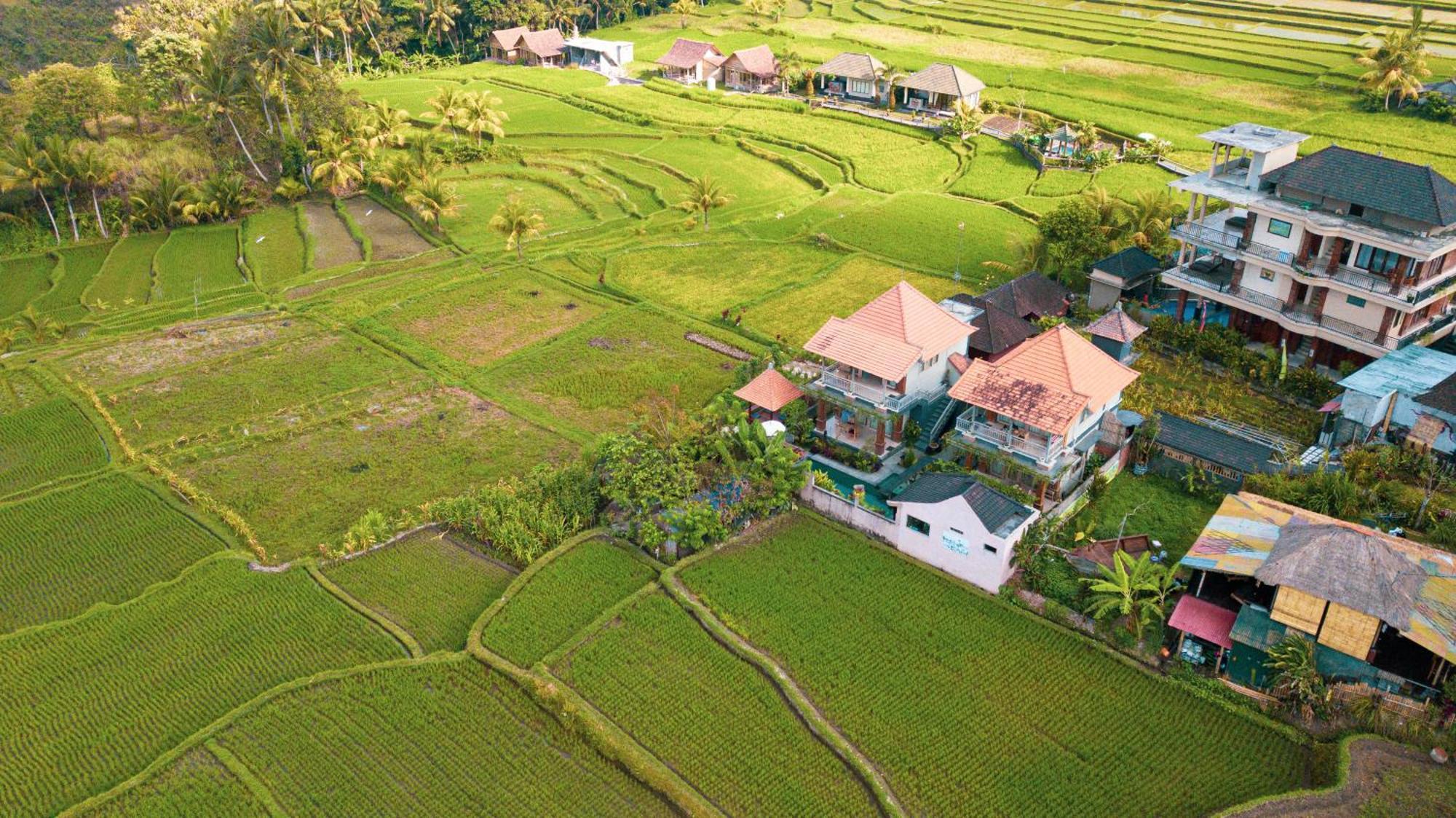 Raditya Villa Ubud Luaran gambar